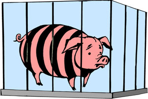 pigprison.jpg