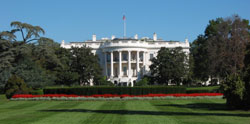 whitehouse.jpg