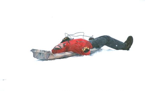 sled